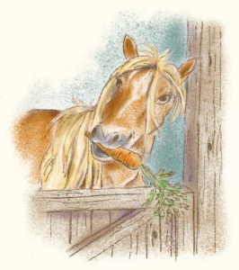 2-Conny Pony mit Karotte